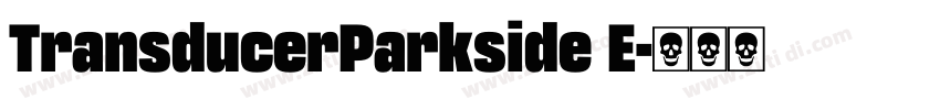 TransducerParkside E字体转换